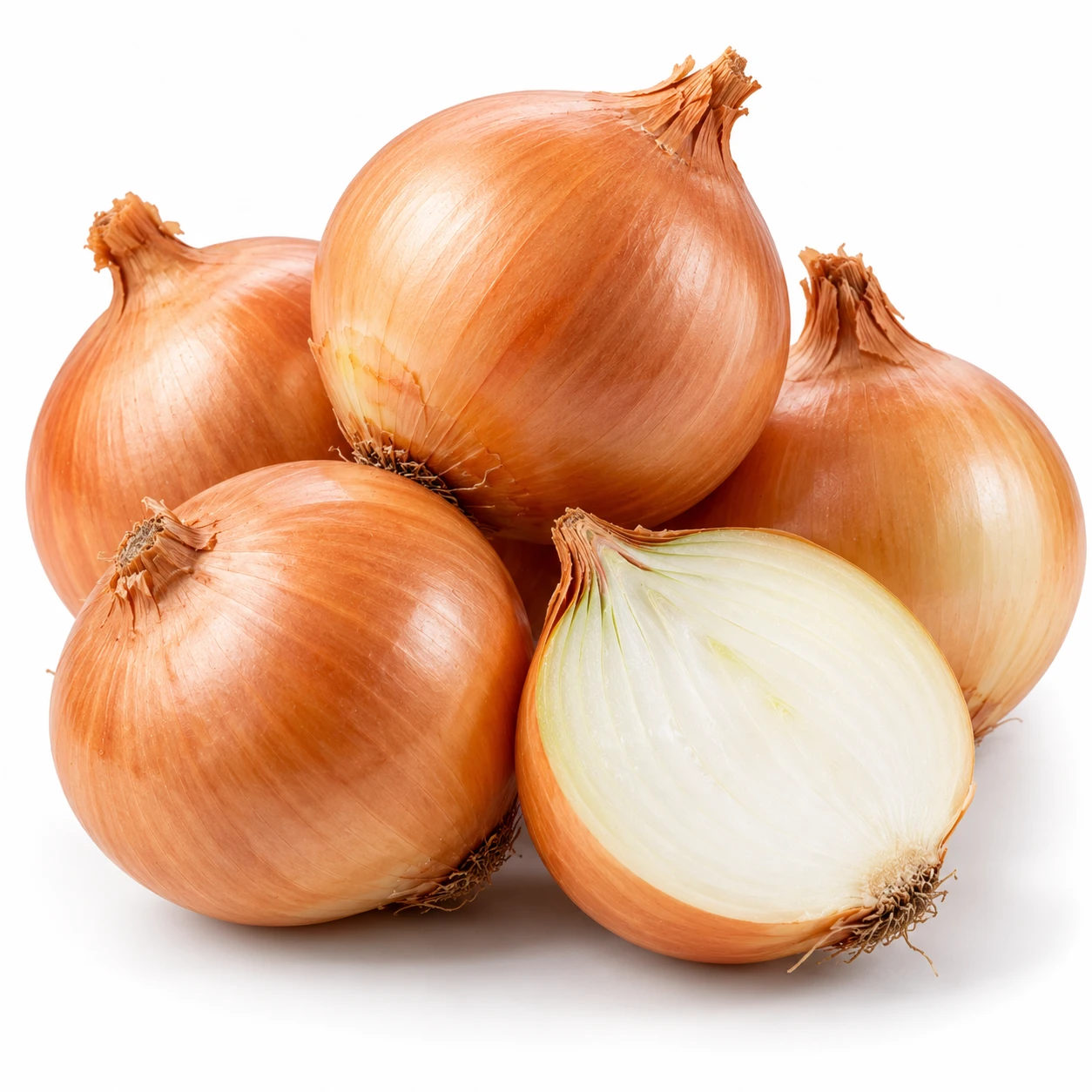 Cebola