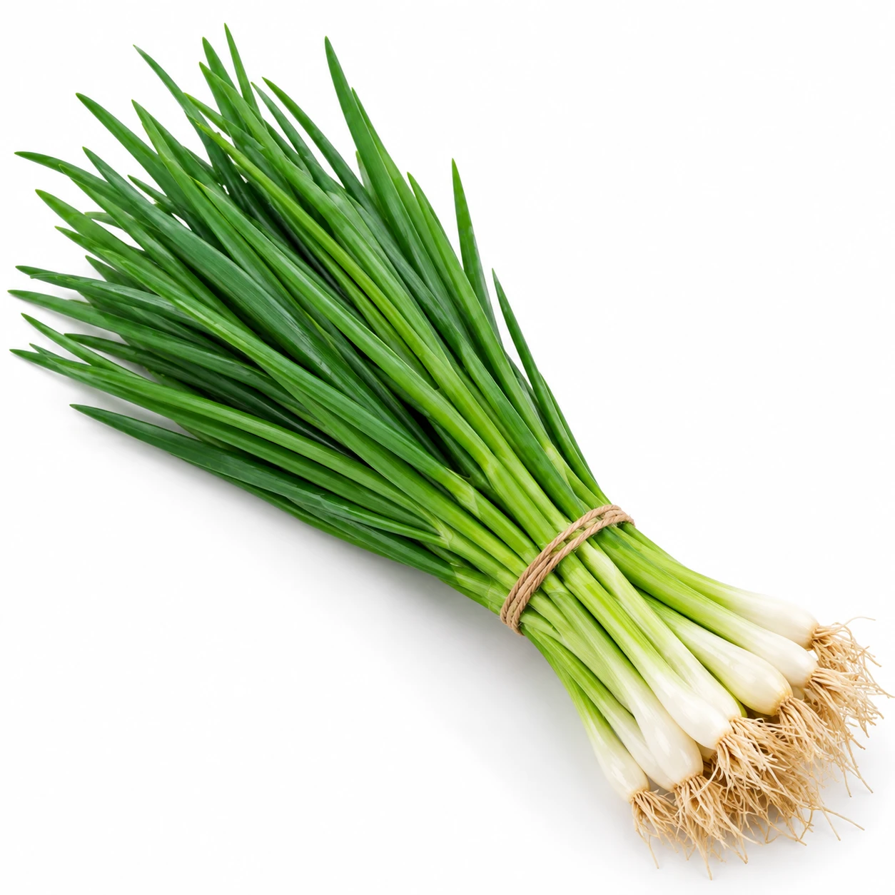 Cebolinha