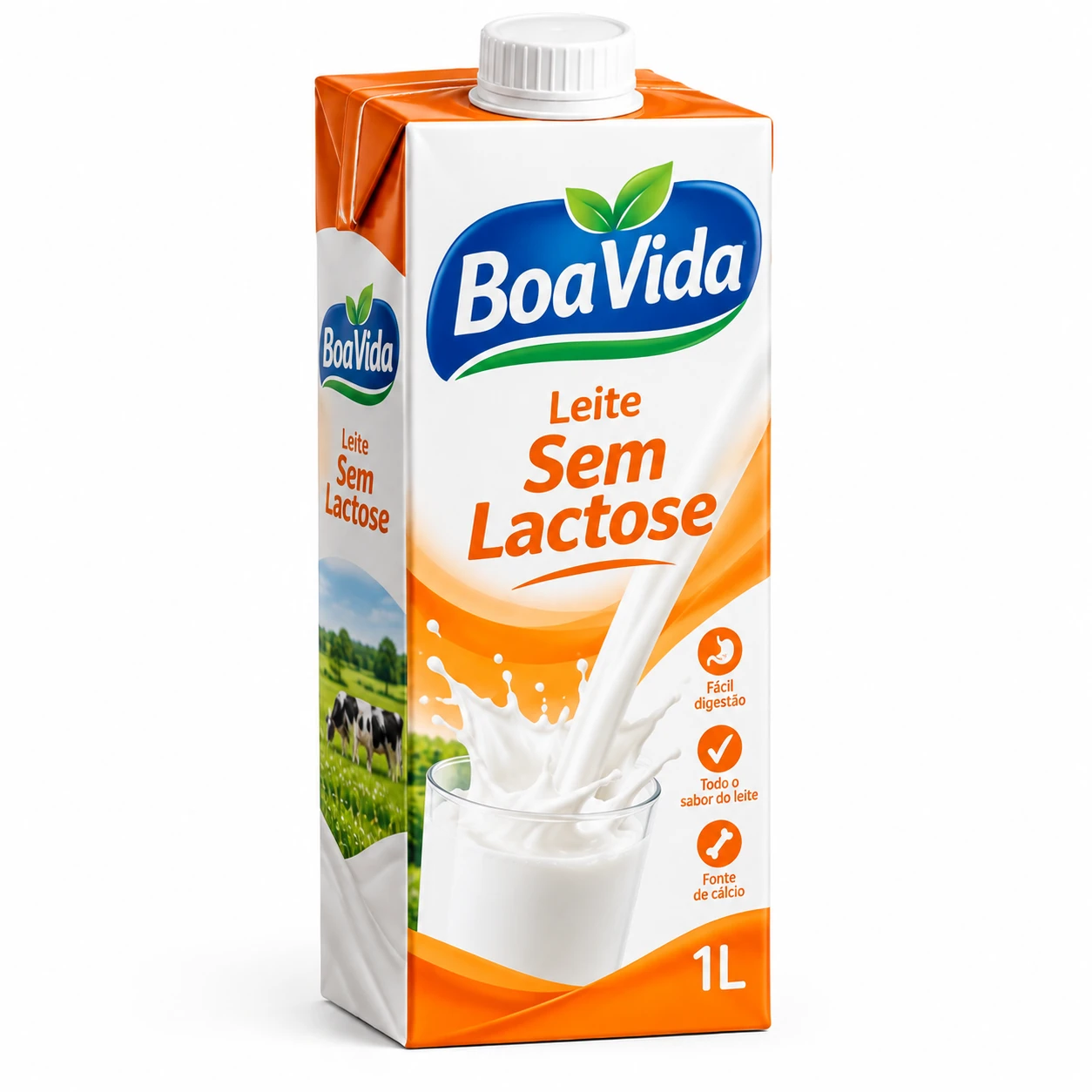 Leite Sem Lactose 1L